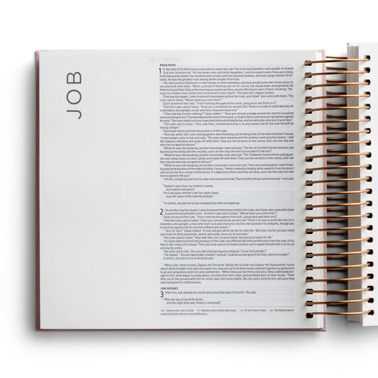 Illustrating Bible Niv: Spiral Bound Bible Journal, Pink