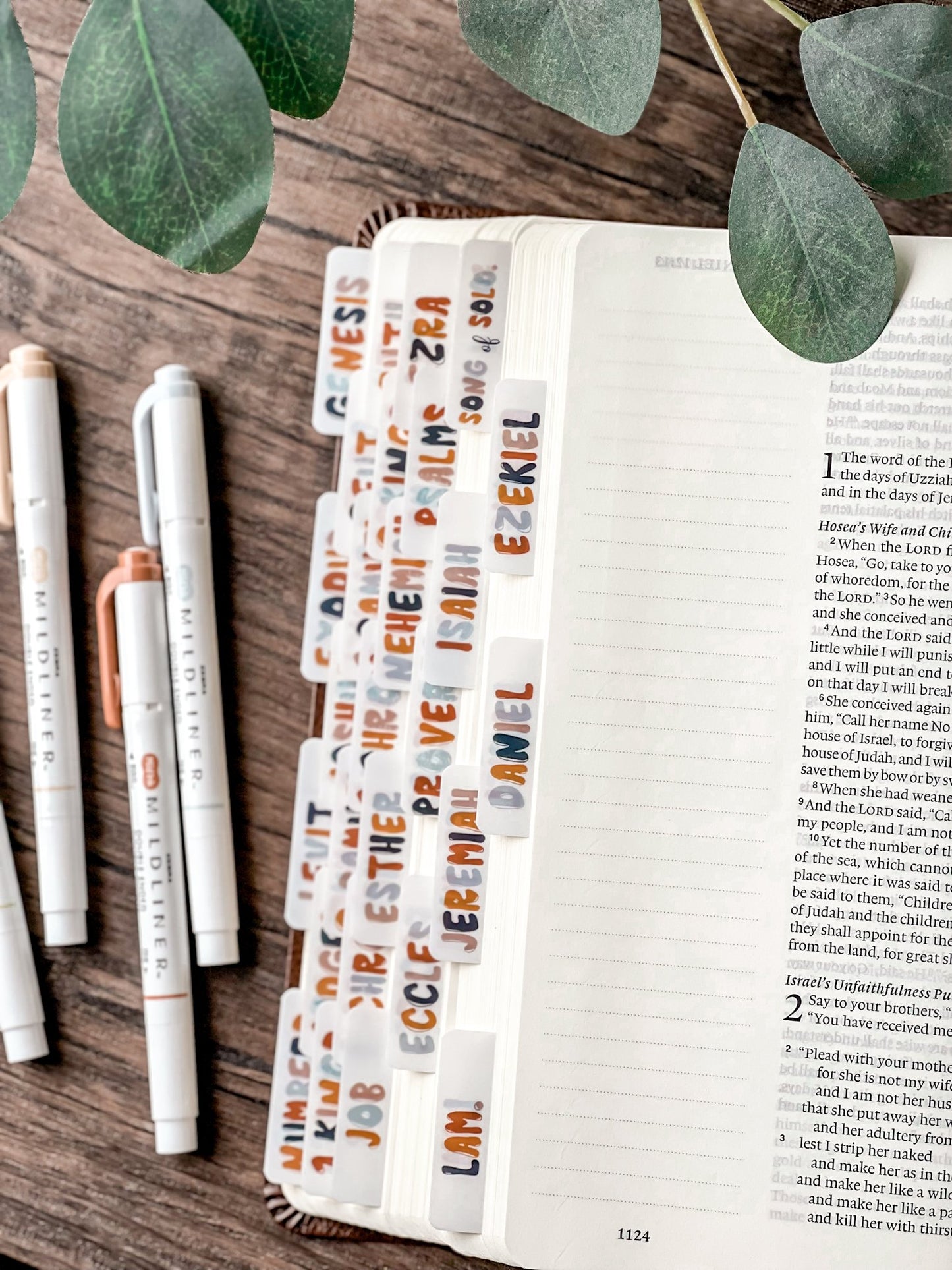 Bible Tabs