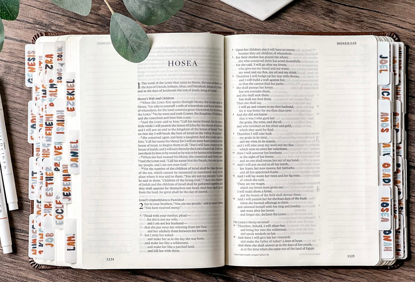 Bible Tabs