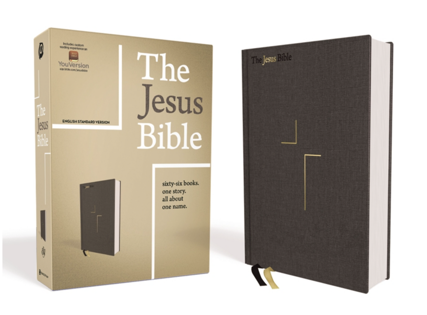 The Jesus Bible, ESV Edition - Grey