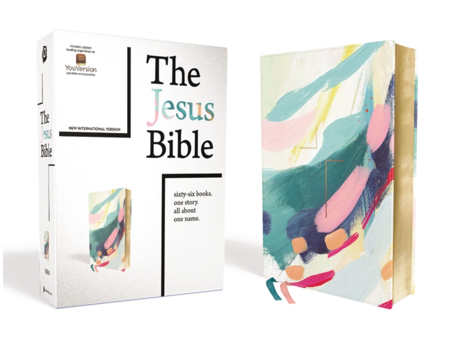 The Jesus Bible - NIV (Leather)