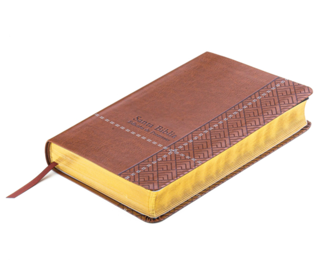 Spanish Bible: Biblia de Promesas Reina Valera 1960