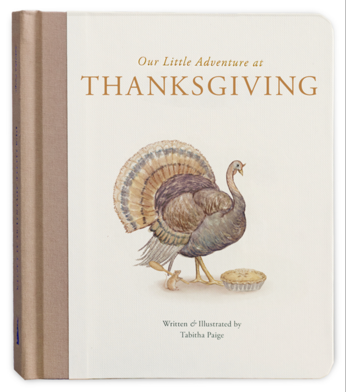 Our Little Adventure at Thanksgiving: Featuring Foundational Language Concepts and Lessons on Gratitude