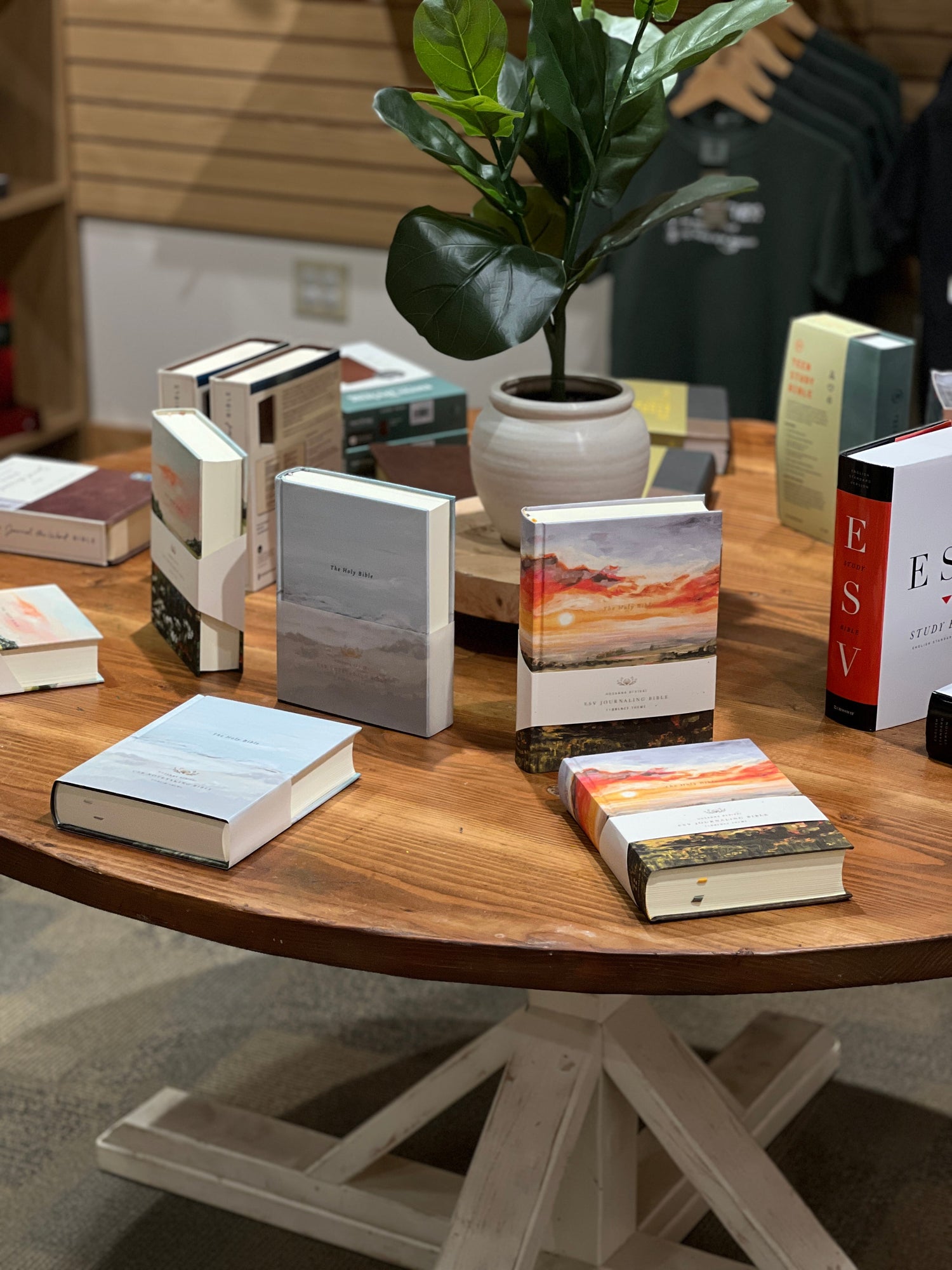 BIBLES