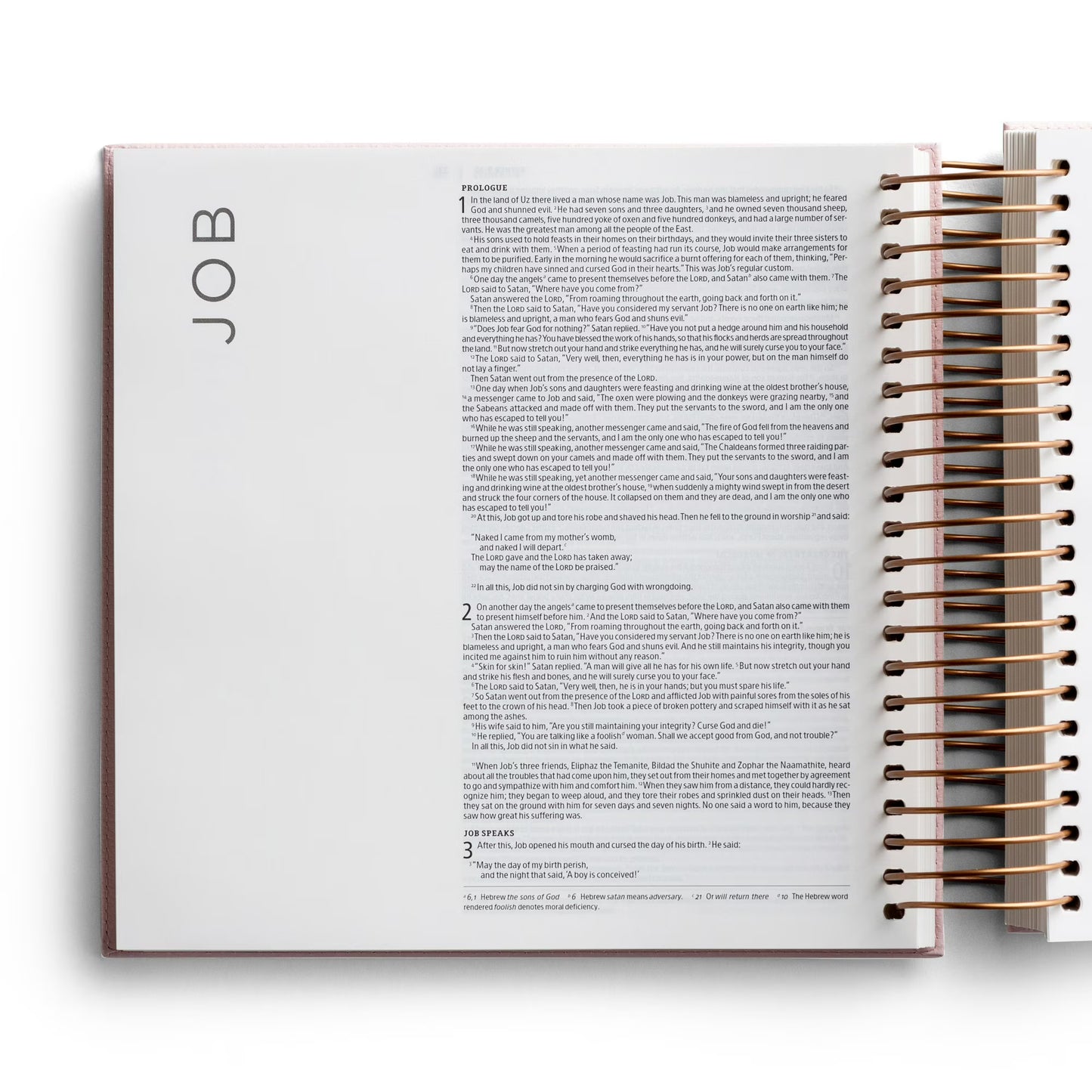 Illustrating Bible Niv: Spiral Bound Bible Journal, Pink