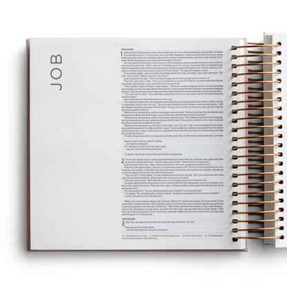 Illustrating Bible Niv: Spiral Bound Bible Journal, Pink