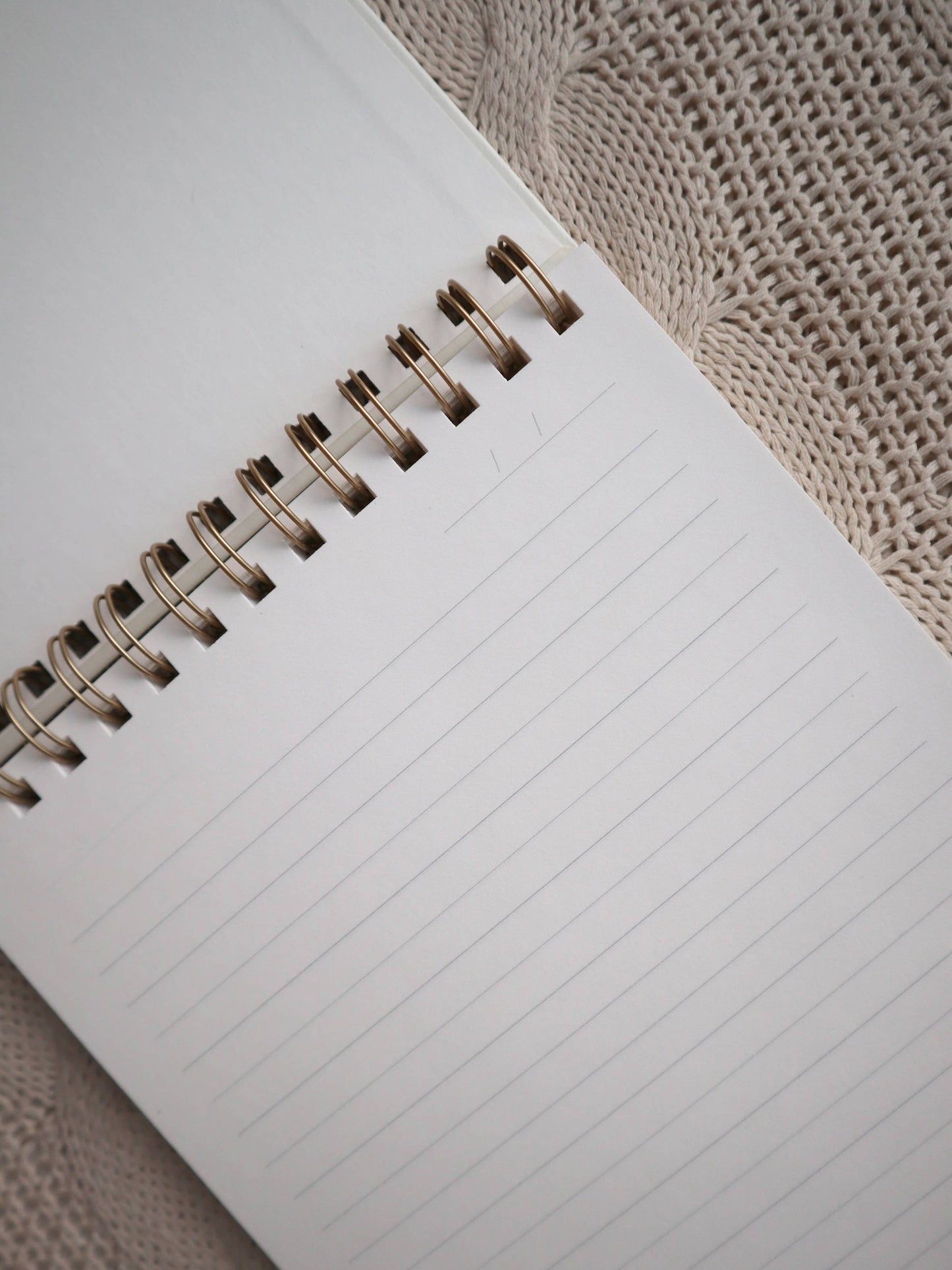 In Every Season Letterpress Notebook