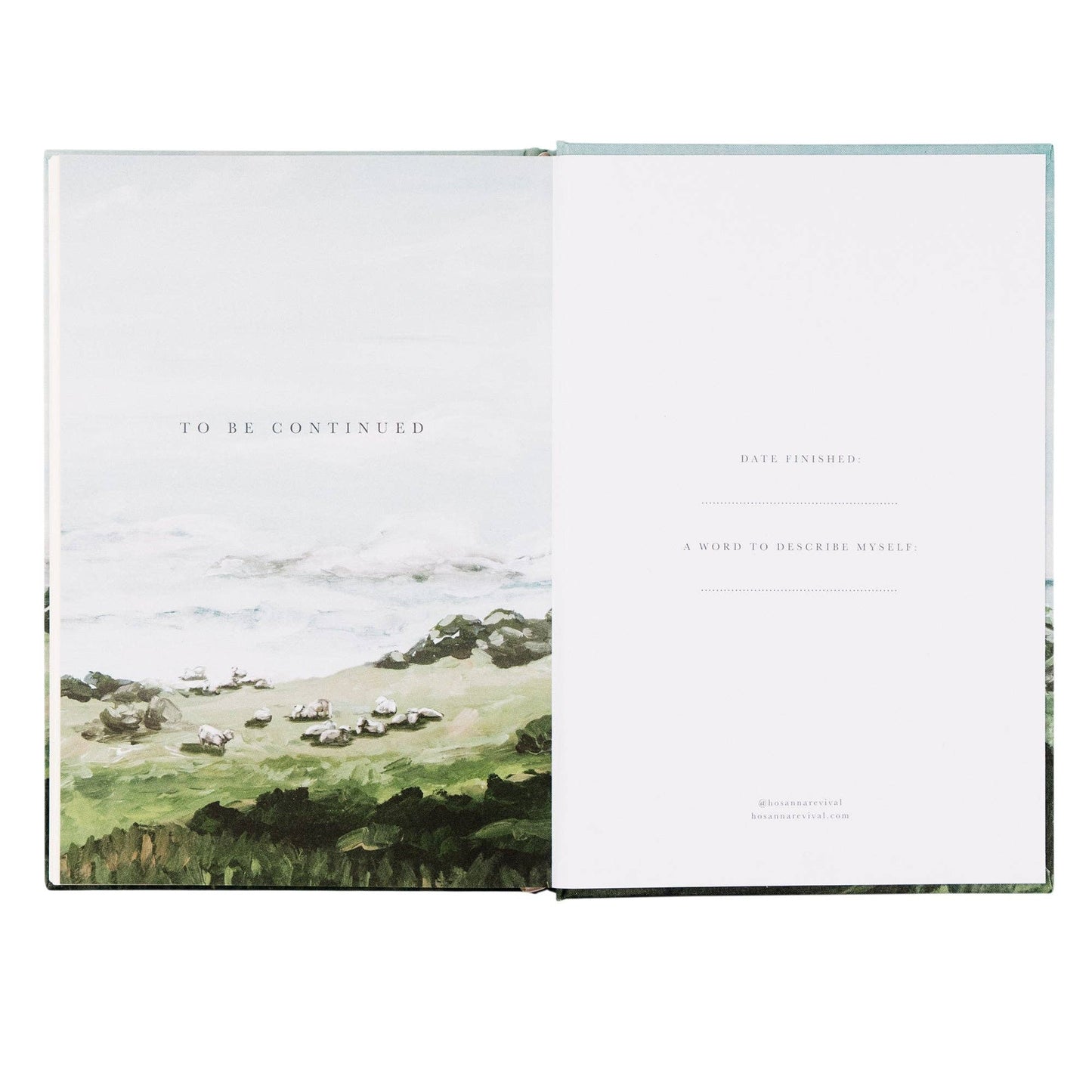 Notebook: Dublin Theme