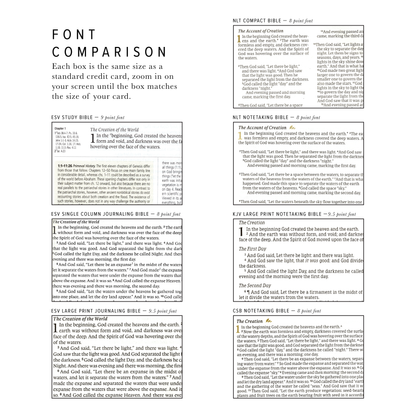 ESV Journaling Bible: Florence Theme