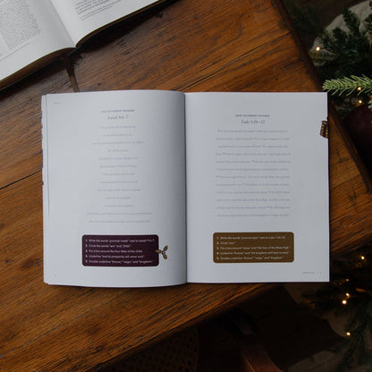 Making Room Advent Bible Study for Teens