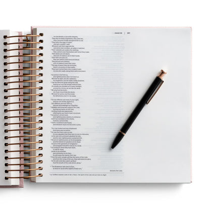 Illustrating Bible Niv: Spiral Bound Bible Journal, Pink