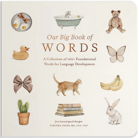 Our Big Book of First Words