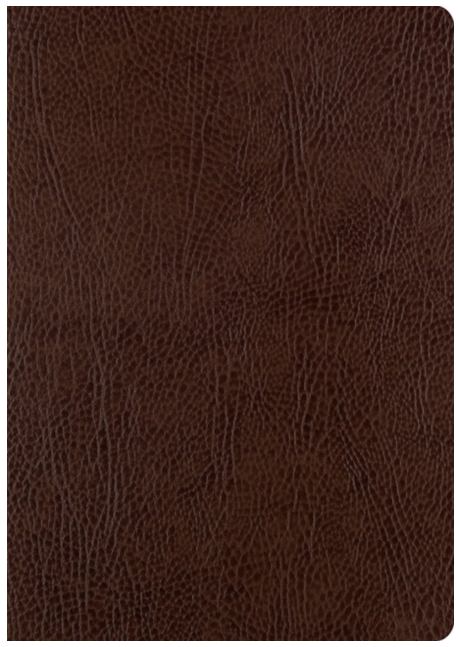 ESV Single Column Journaling Bible