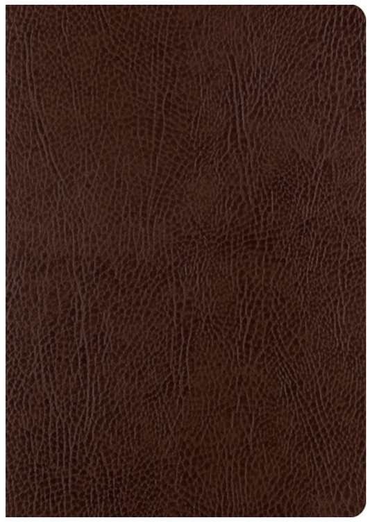 ESV Single Column Journaling Bible