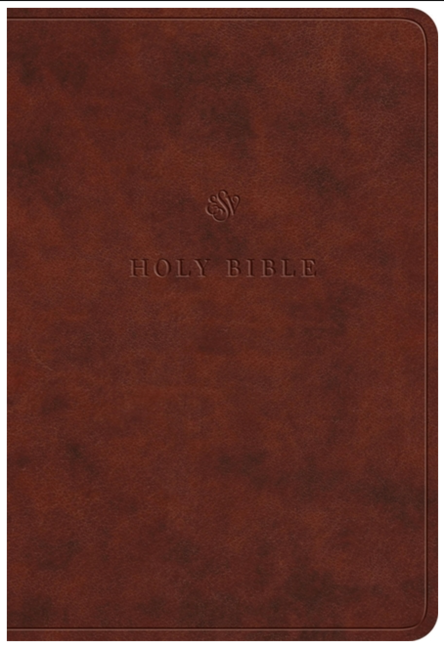 ESV Value Large Print Compact Bible (Trutone, Chestnut)