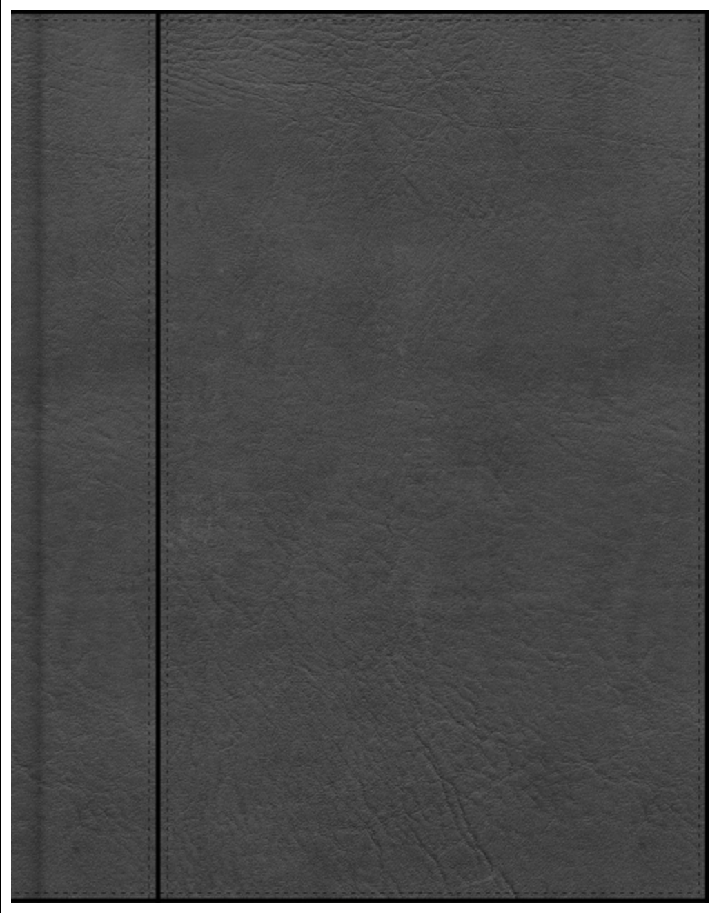 CSB Notetaking Bible, Charcoal Leathertouch