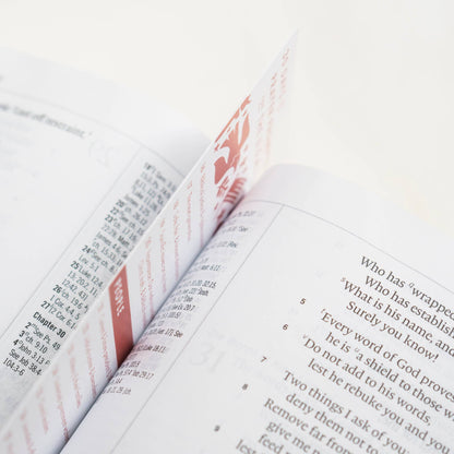 Prayer Prompts for the USA Bookmark