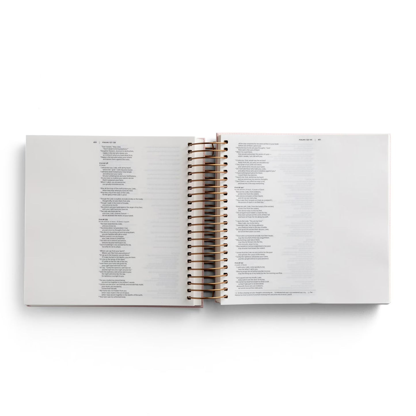 Illustrating Bible Niv: Spiral Bound Bible Journal, Pink