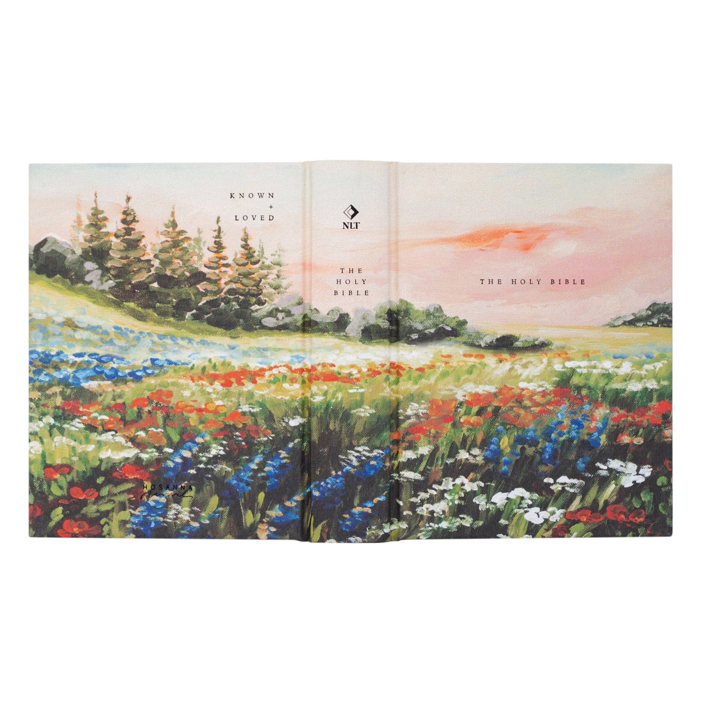 NLT Notetaking Bible: Coram Theme