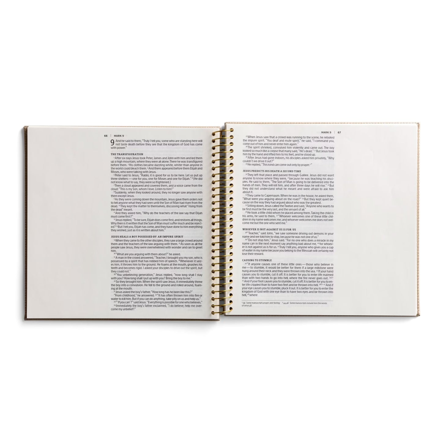 Niv, Spiral-Bound Illustrating Bible: The Gospels